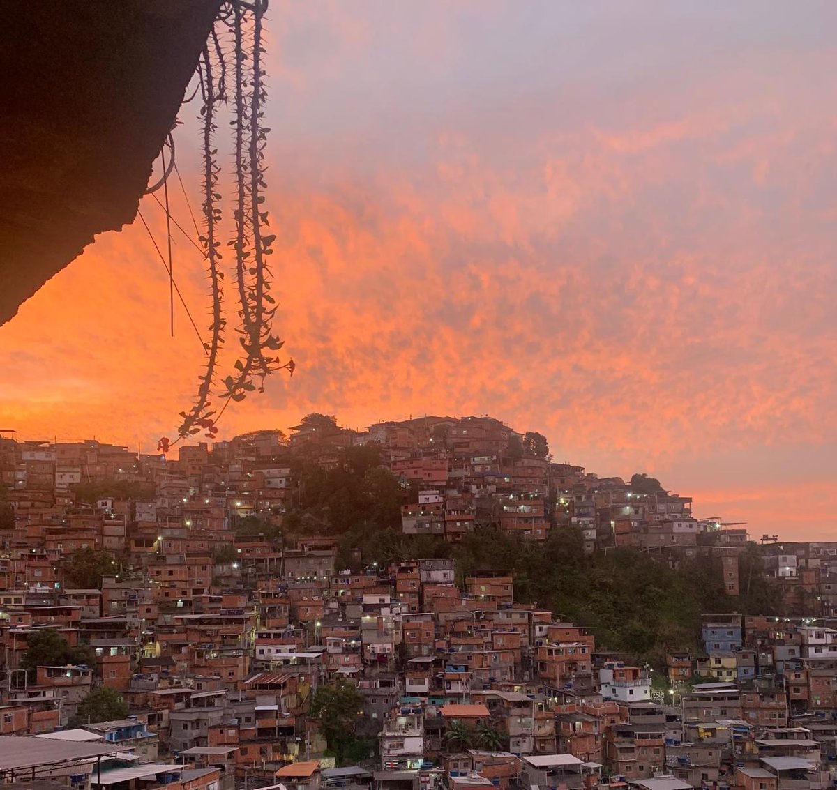 nandaeleoterio2's tweet image. Terra natal 😉😍