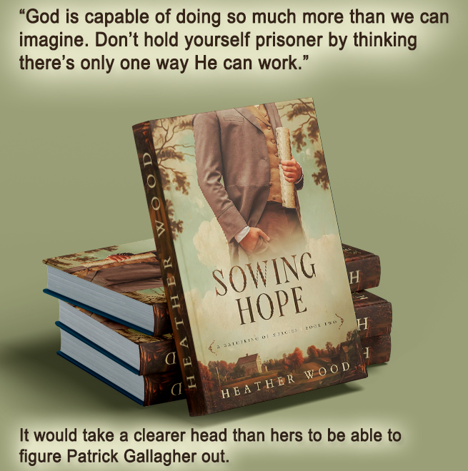 Robin Willson tweet media