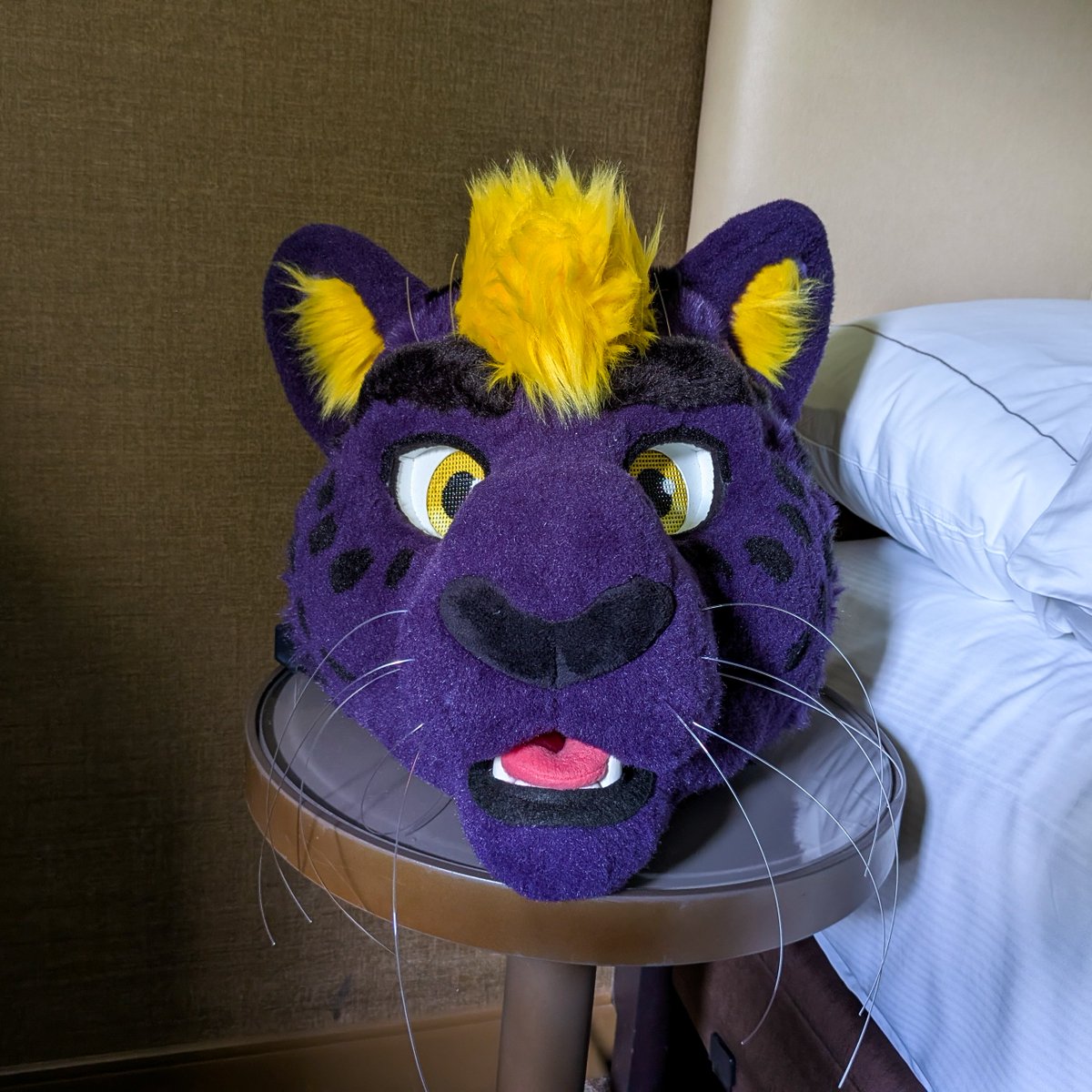 Finn the Panther tweet media