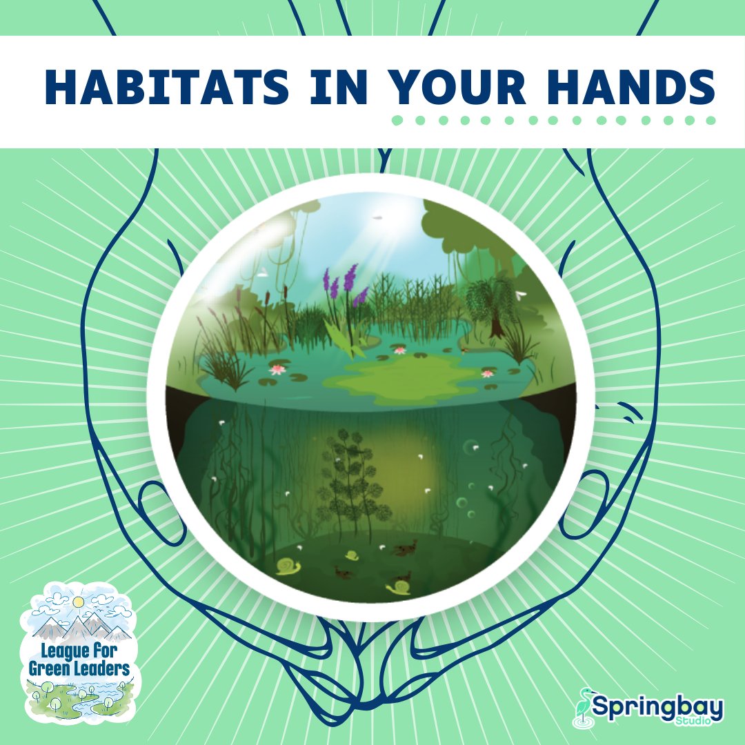 SpringbayStudio's tweet image. Have you added #ClimateEducation to your plan this year? 📚🌍
Join the new #LeagueForGreenLeaders competition 🌱 with teachers worldwide 🌍let’s put habitats in our hands! 🐝🌳
Learn more in our webinars 👉 bit.ly/41B5FlV