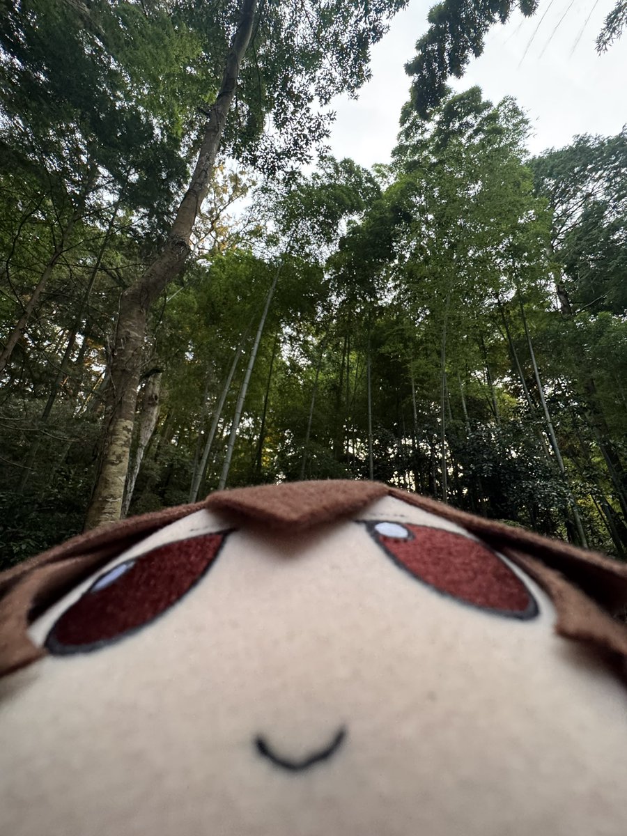 #ふっもーにんぐ