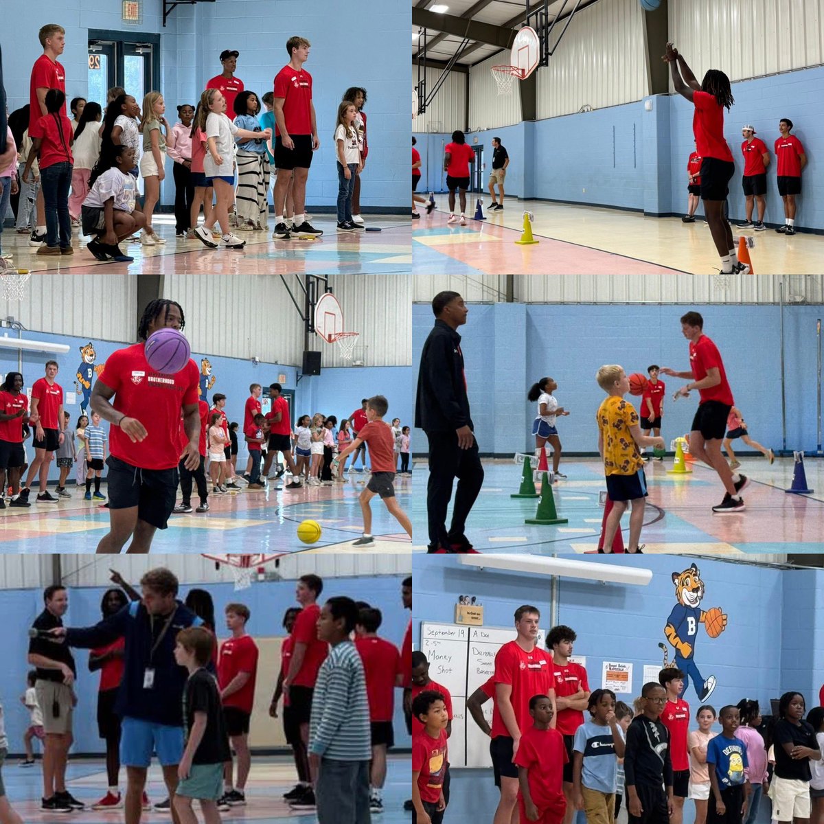 Mike Head tweet media