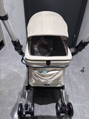 猫にも『旅行』の楽しさを体験させてあげよう！ベッドから公園へ、ソファから街角へ、今日はどこに連れて行く予定ですか