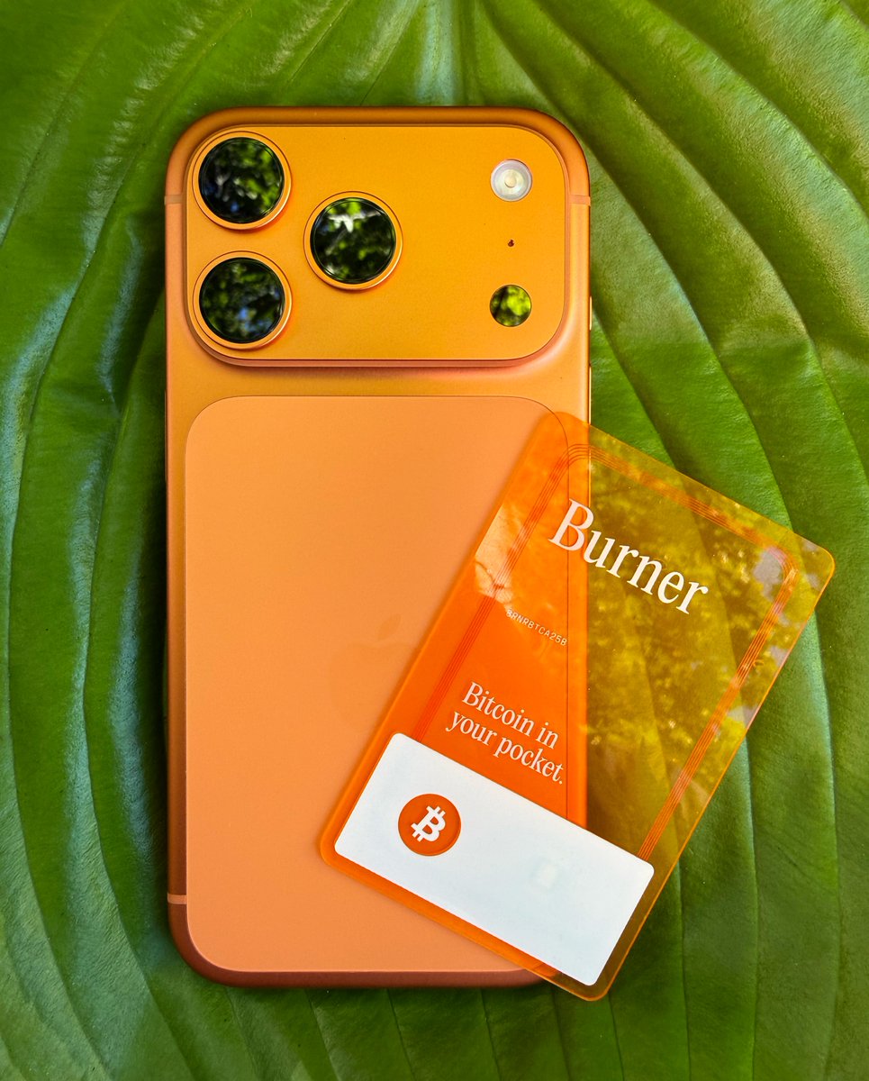 🍊