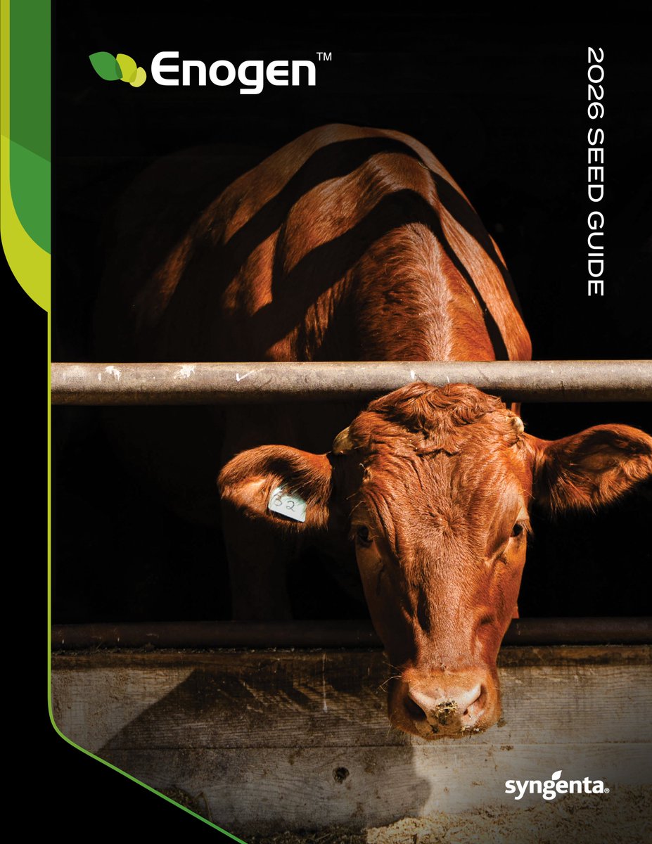 EnogenCanada's tweet photo. Energize your beef or dairy operation with Enogen high energy feed. Get details and find the right hybrid for your farm in the 2026 seed guide.
https://t.co/OEZJLwdDJx https://t.co/vQiNMK0sgl