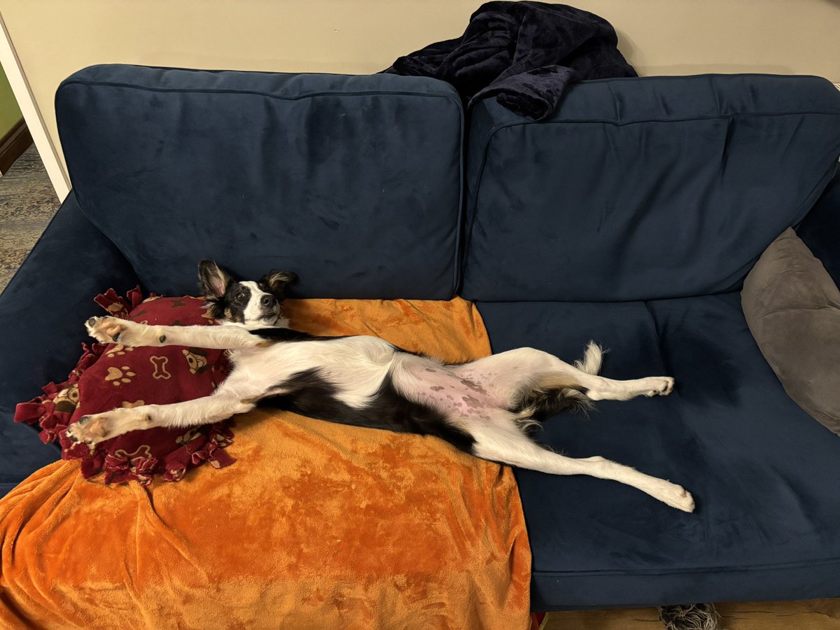 Why, yes, puppies do grow VERY quickly