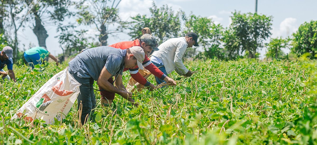 MinAgricultura tweet picture