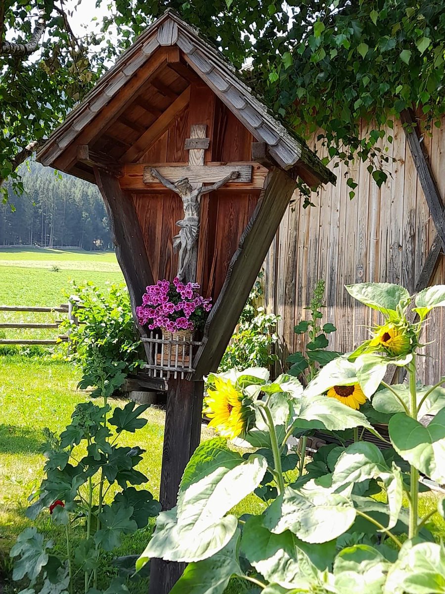 PrayTheRosary's tweet photo. https://t.co/sCt02xJLQP