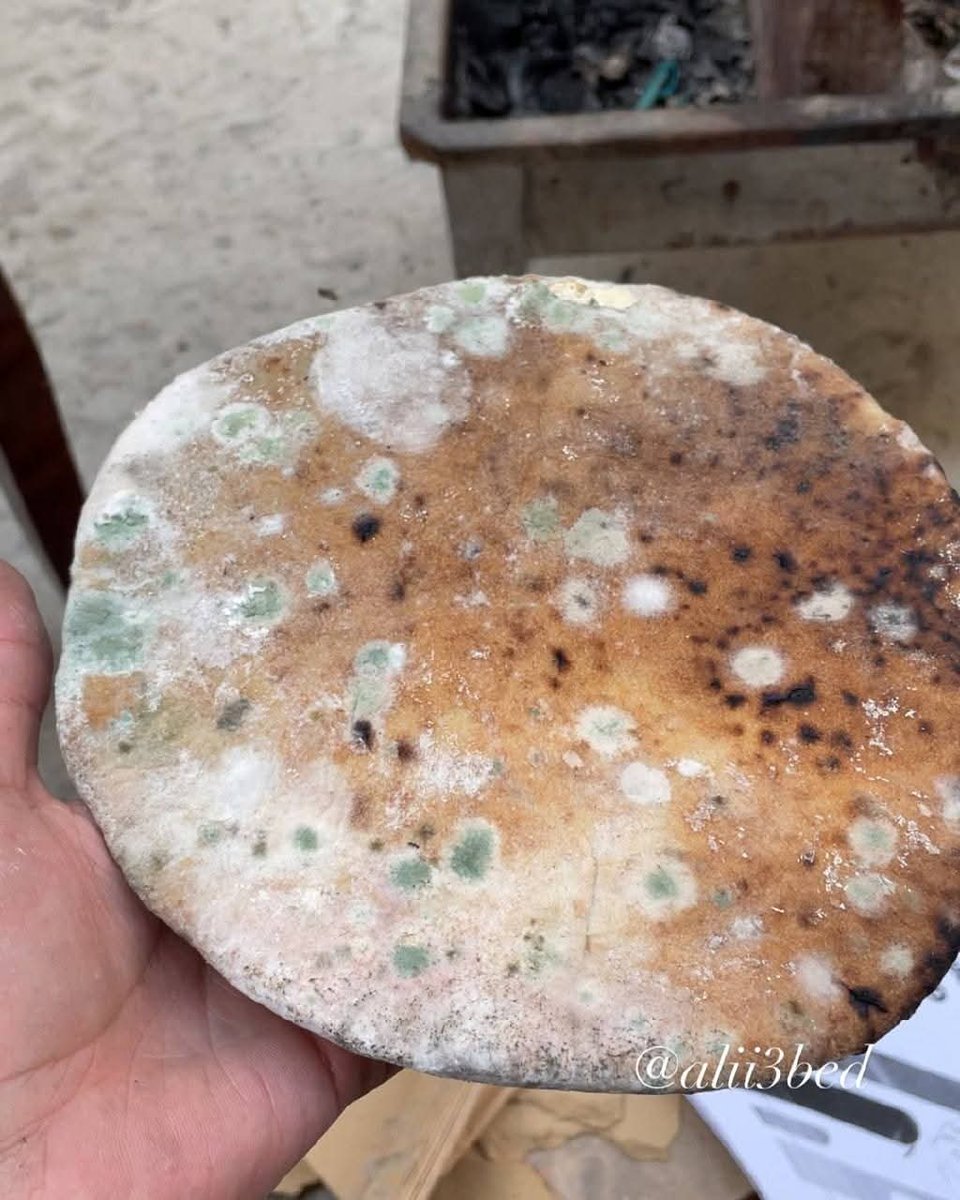 We in Gaza are hungry. We have become so hungry that we can no longer even tell you about it. Hunger is tearing at our intestines. Look at us with mercy and humanity. Donate to save us. God will compensate you .instead. 
chuffed.org/project/134095