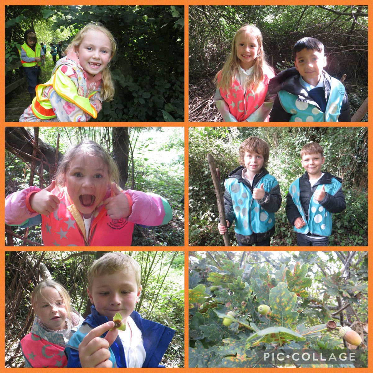 rhosstreet's tweet photo. Bl 2 enjoyed their first trip of the term to the Living Classroom looking for signs of autumn and appreciating this year abundant harvest in the orchard. #RSSeco #RSSwb #RSSol #RSScfw https://t.co/ZkDKOoBXjo