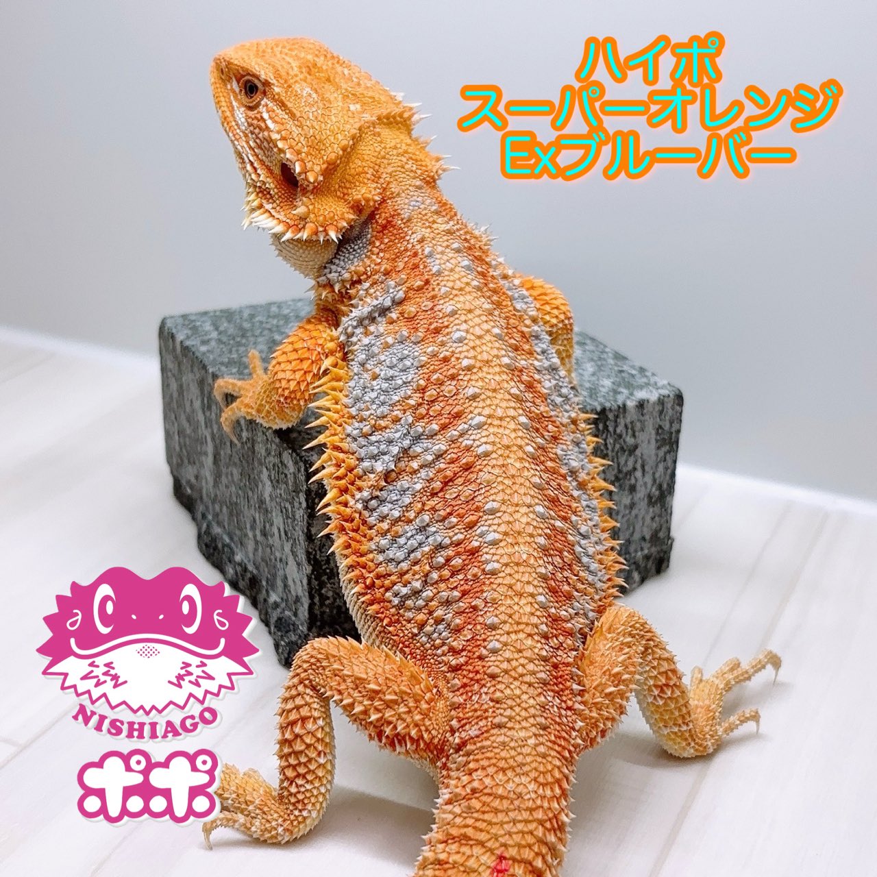 H.Nishi (@HidehitoNishi) / X
