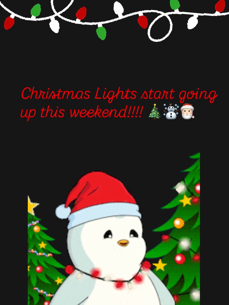 The Time Has Come!!! Our Annual Light installation starts this weekend!!! Get Ready for the Brightest Christmas Season we ever Had!!!! #gardnerchristmaswonderland #Christmas2025 #puntagordaholidayhouse 🎄🎅🏻☃️🎁❄️