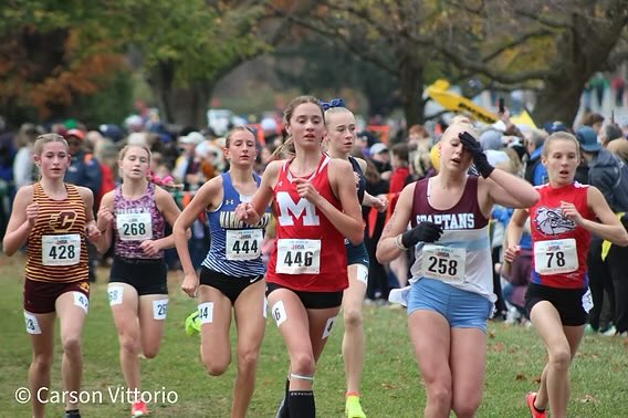 IHSA has officially released their assignments!!

illinoisrunningnews.com/post/ihsa-assi…