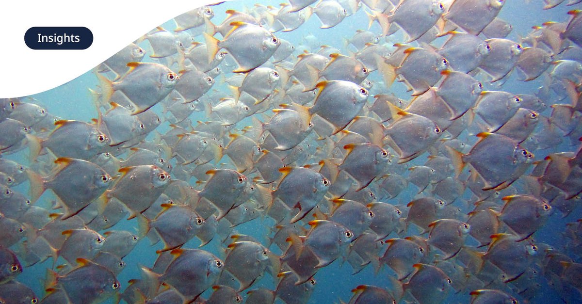 #FoodandBeverageNewsandTrends: #MAHA Commission issues Make Our Children Healthy Again Strategy Report; #FDA to hold public meetings on #allergens; #California set to ban ultra-processed foods in schools; #soybean boycott.

Read it here: spr.ly/6013AVTXc