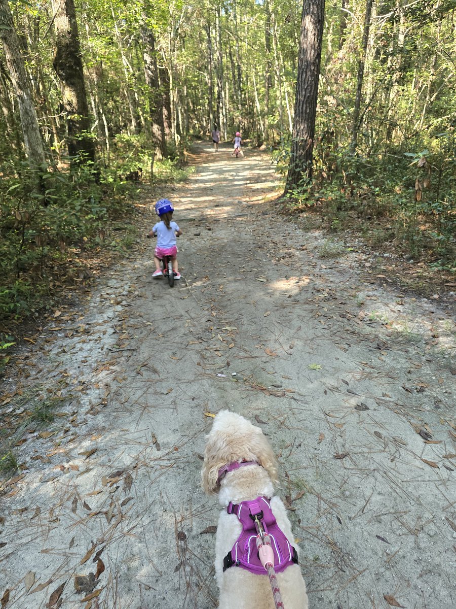 AutomateIP's tweet image. Got to take a day away from tech every now and then to go out for walks and do some cooking.