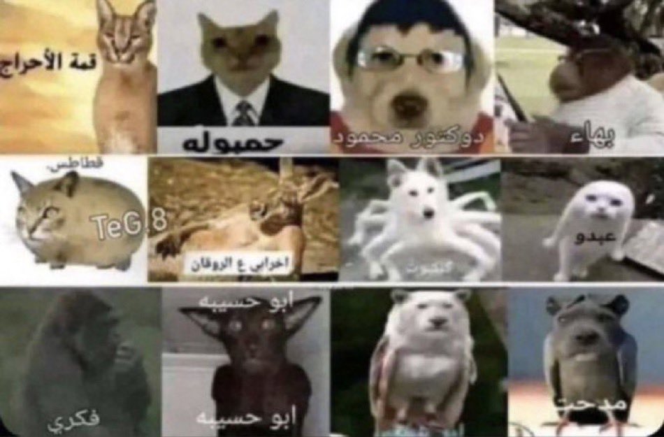 مراحل التكون والأسماء اللي تشوفها بالامبريولوجي