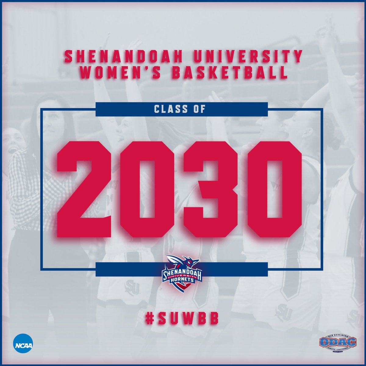 Emme Custer tweet media