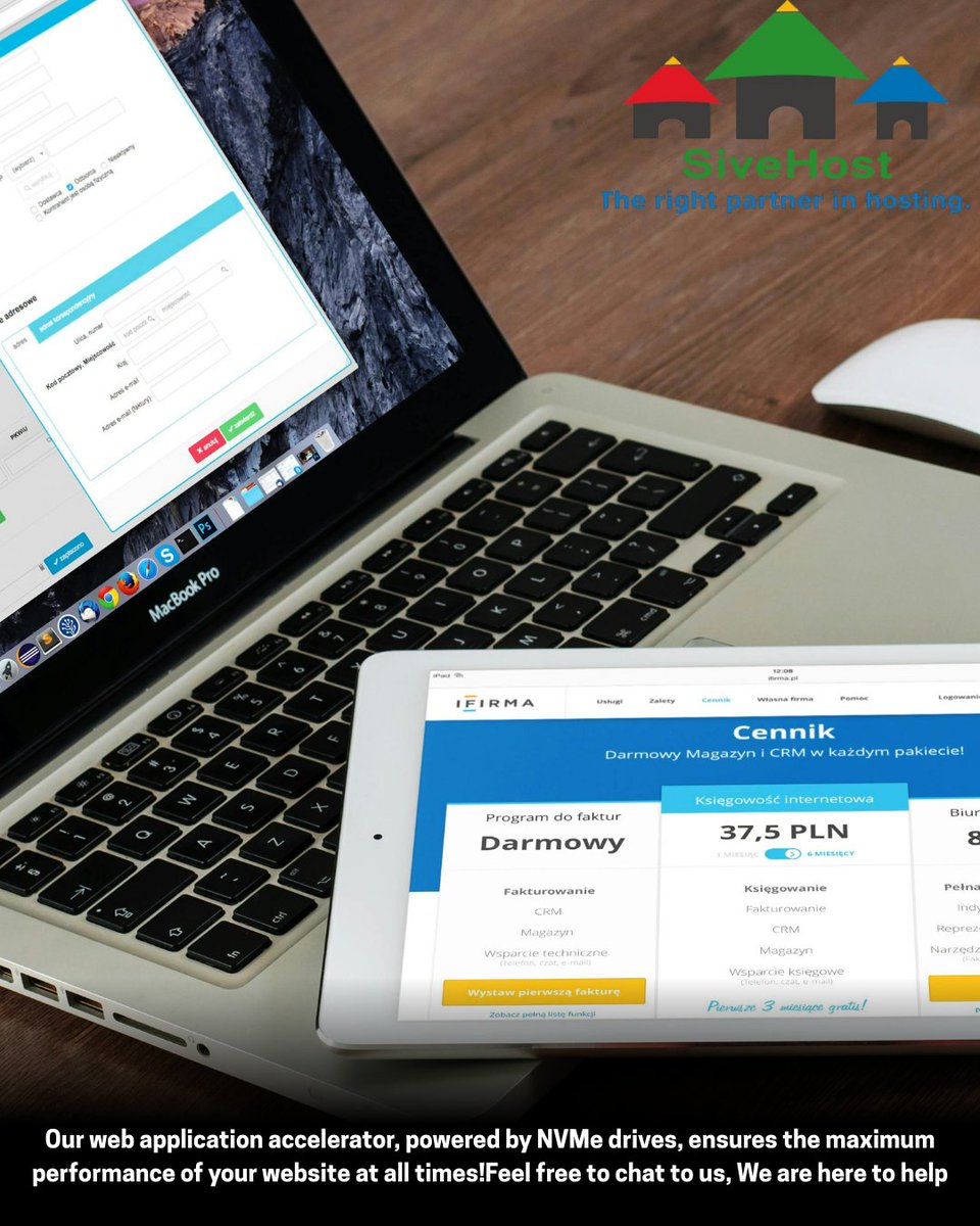 At SiveHost, we provide scalable hosting solutions designed for startups and growing companies:

Start small with SiveHost.sive.host