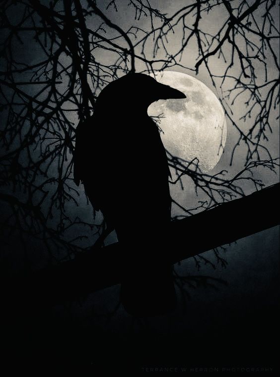blackvibe's tweet photo. https://t.co/mt6hAEeJIu