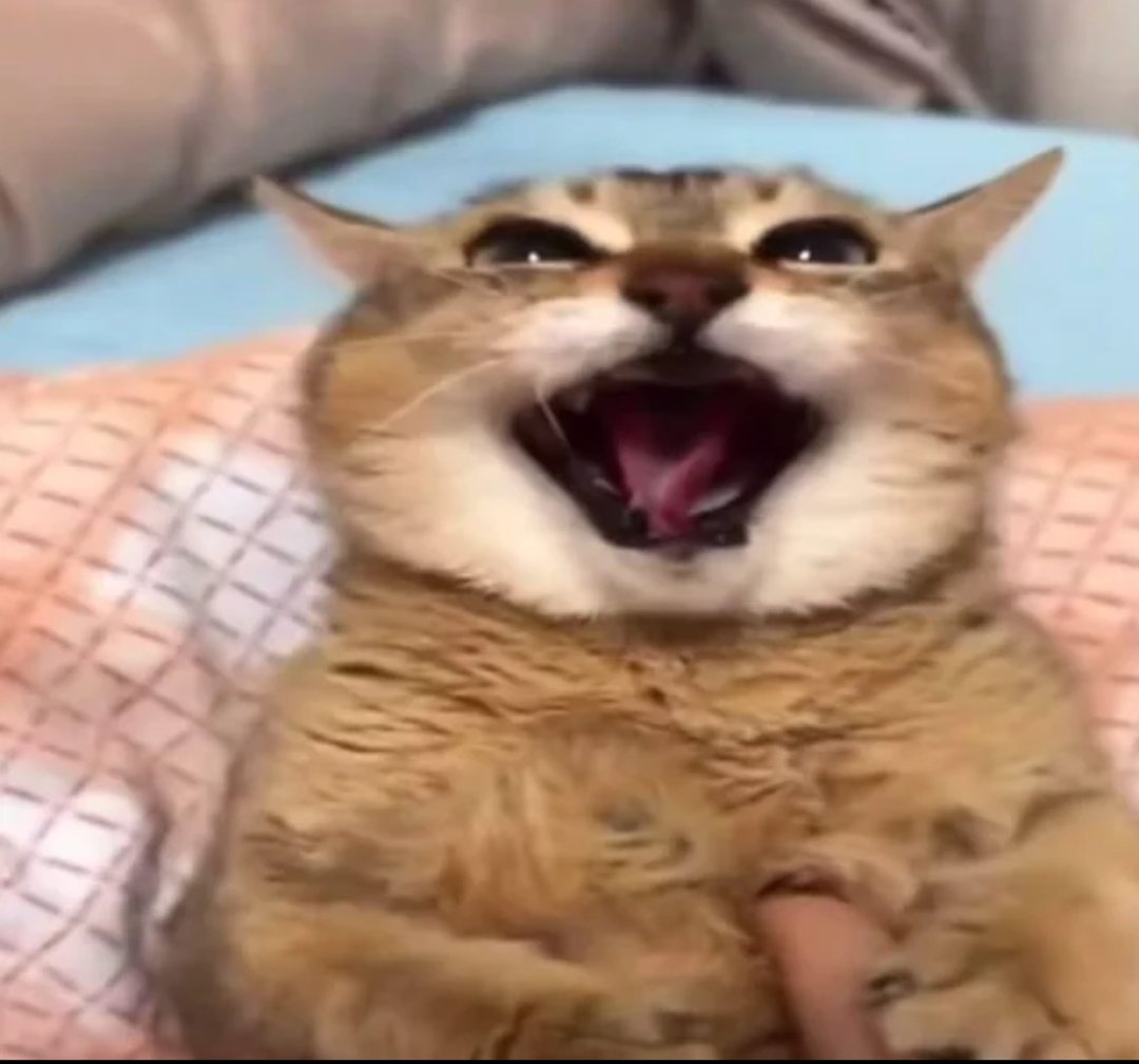 ahhh!!! so mischievous!!!!