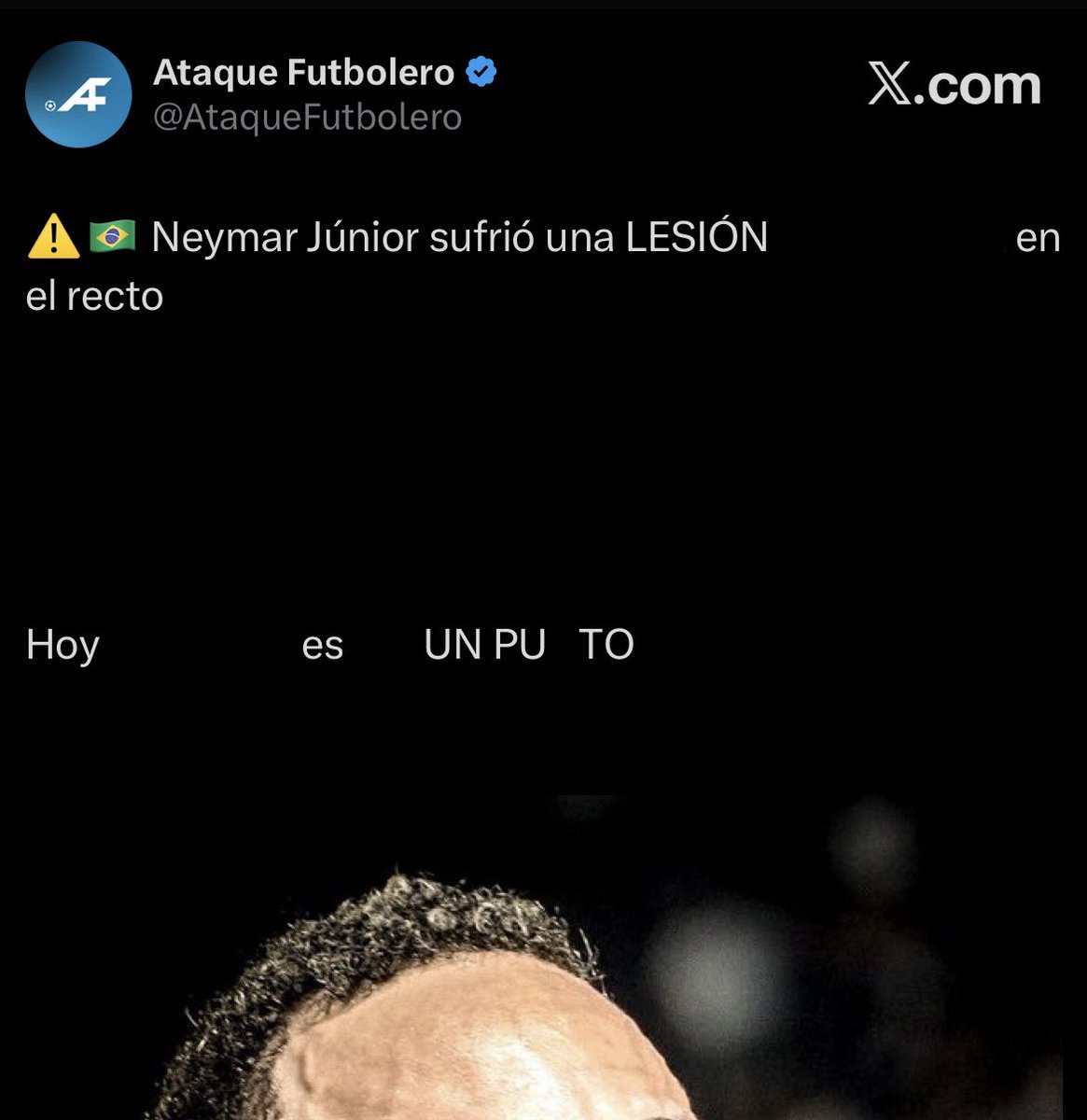 Niico 🦈 tweet media