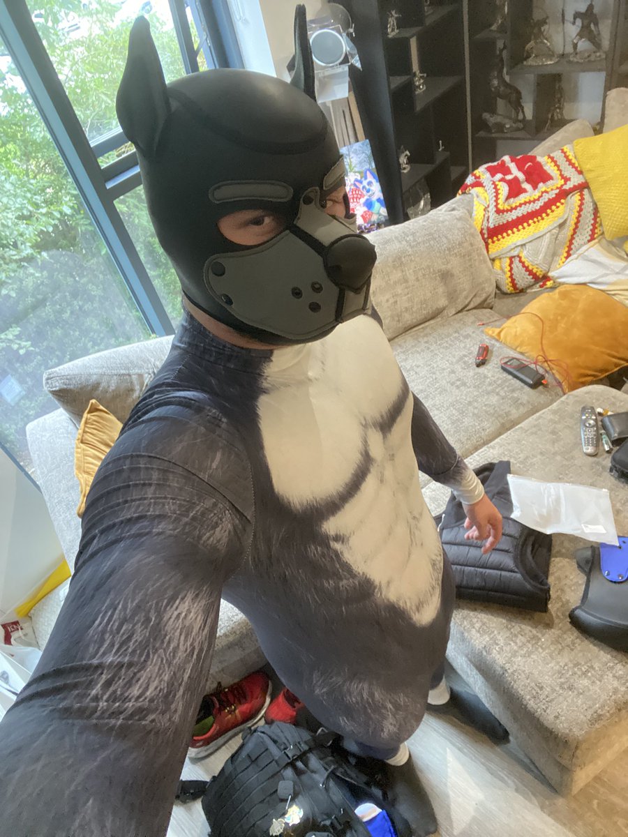 pupdustyy's tweet photo. Arff Love my new outfit 😋😋🐶 
#pup #pupplay #puppyplay #humanpuppy #kink https://t.co/ENbT4DCuZ7