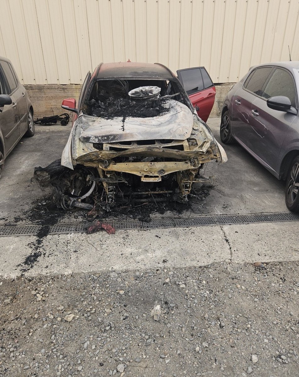 Boxing For Better tweet media