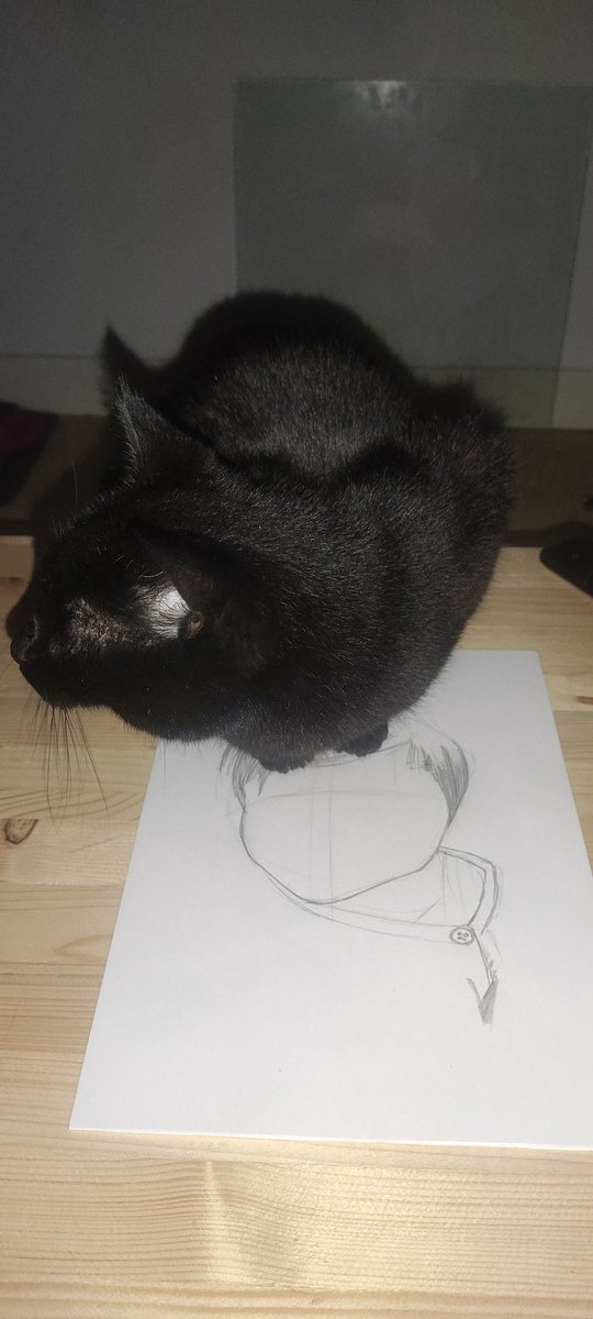 L'avantage d'avoir un chat c'est qu'on est obligé de faire preuve d'ingéniosité pour produire.