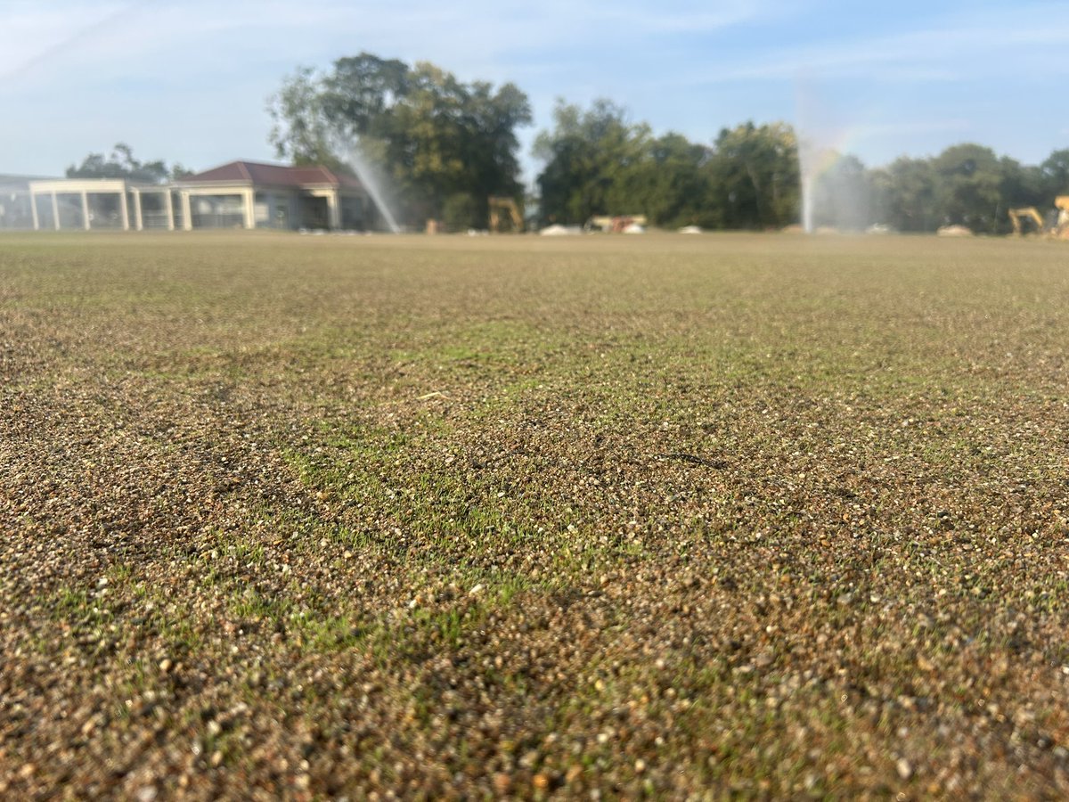 Ryan York tweet media