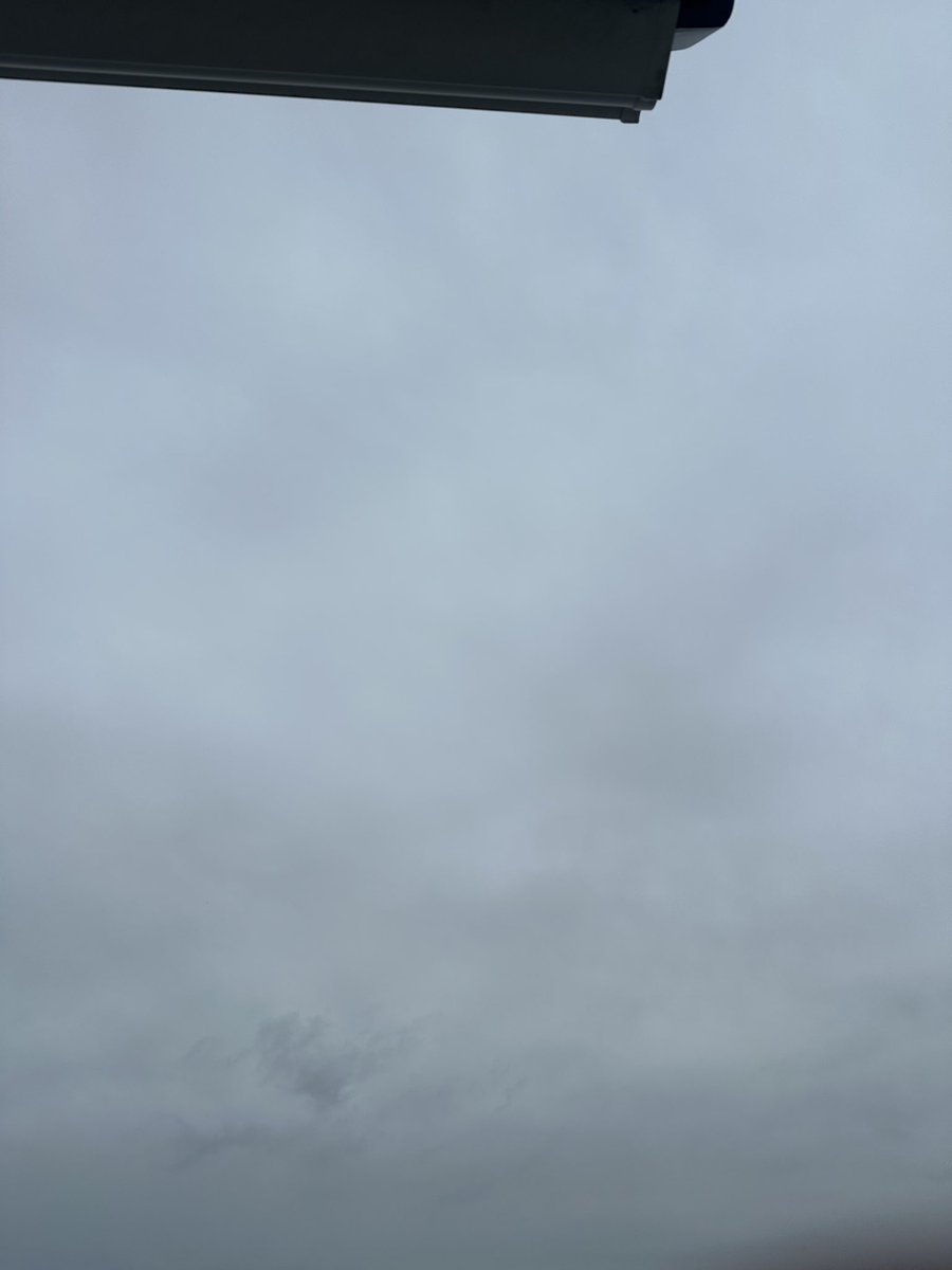 曇天で小雨…。
おはようございます。