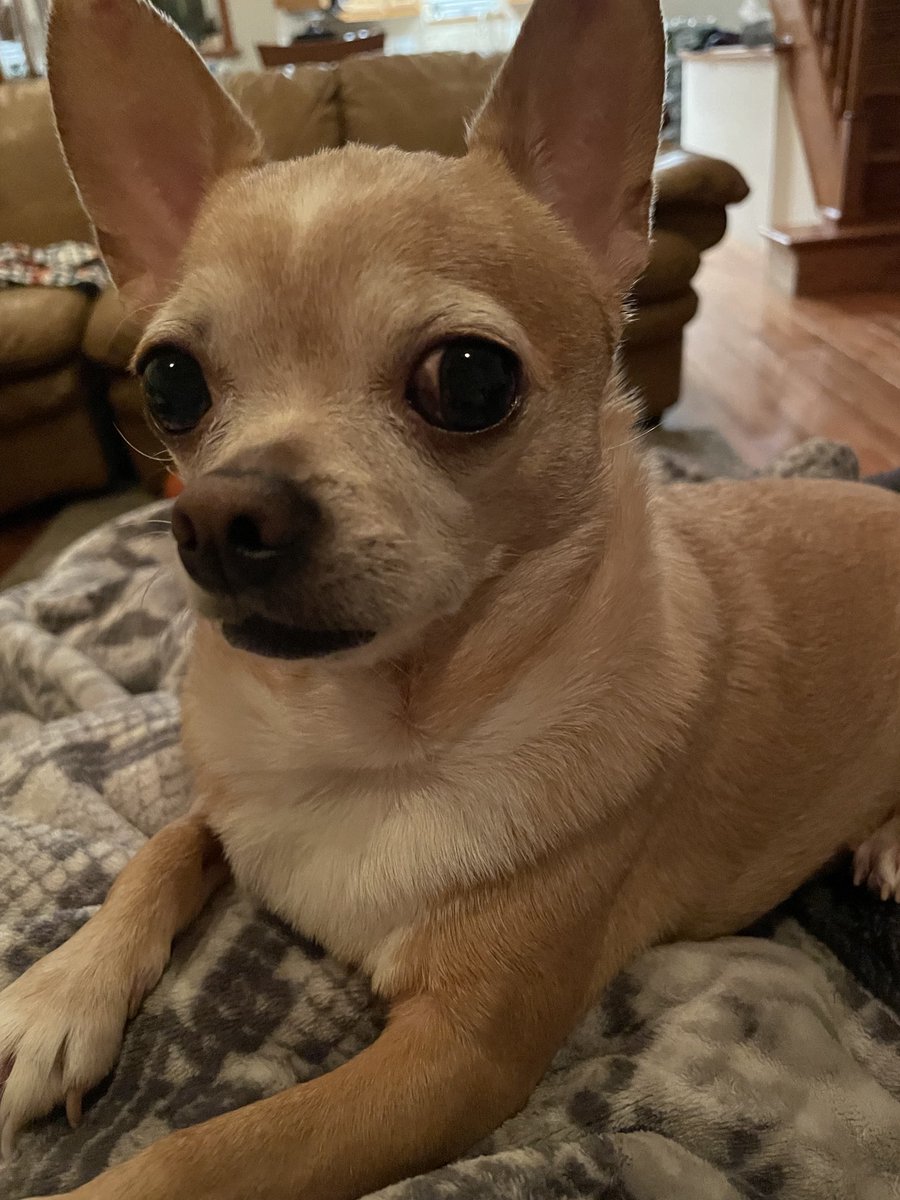 Pamela 6 ♜ (@pamela6victoria) on Twitter photo 