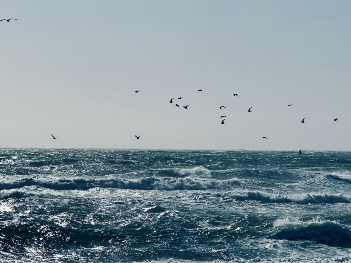 Beba_Perez's tweet photo. Mi vida ha sido con olor a sal.
Hija de marino mercante, viví en un barco en tierra sexitana de forma poética.
Mi padre navega buscando el mar eterno y una de las lecciones más bellas del alma marinera es que en la mar no se abandona a nadie #laleydelmar #salvarvida #Armada ⚓️ https://t.co/wVgvouTnLz
