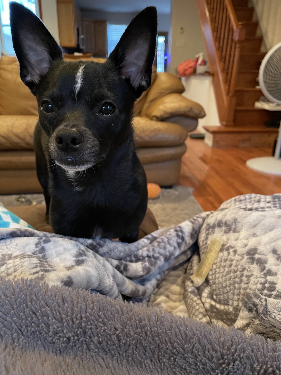 Pamela 6 ♜ (@pamela6victoria) on Twitter photo 