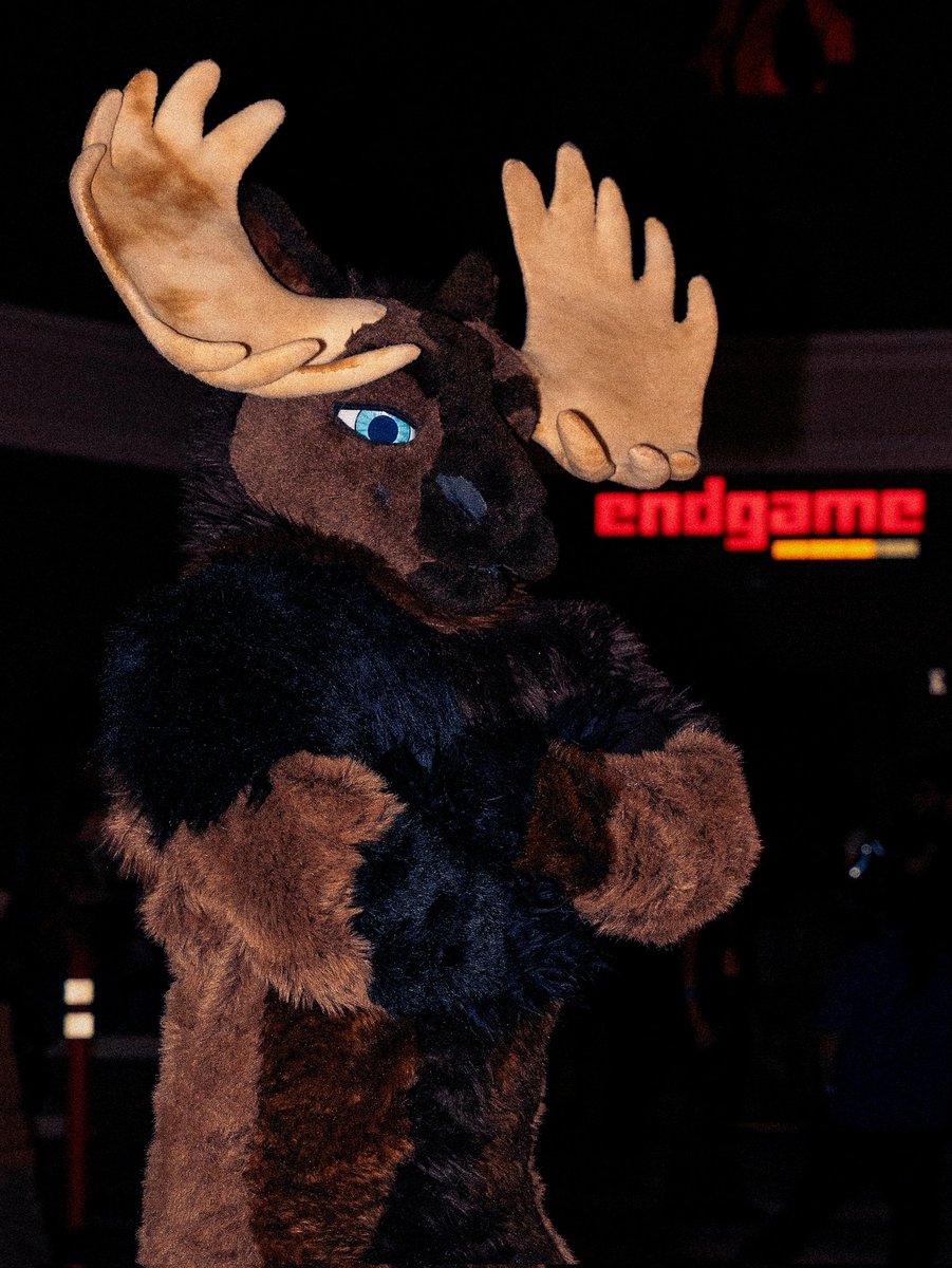 I'm a wallflower
#FursuitFriday