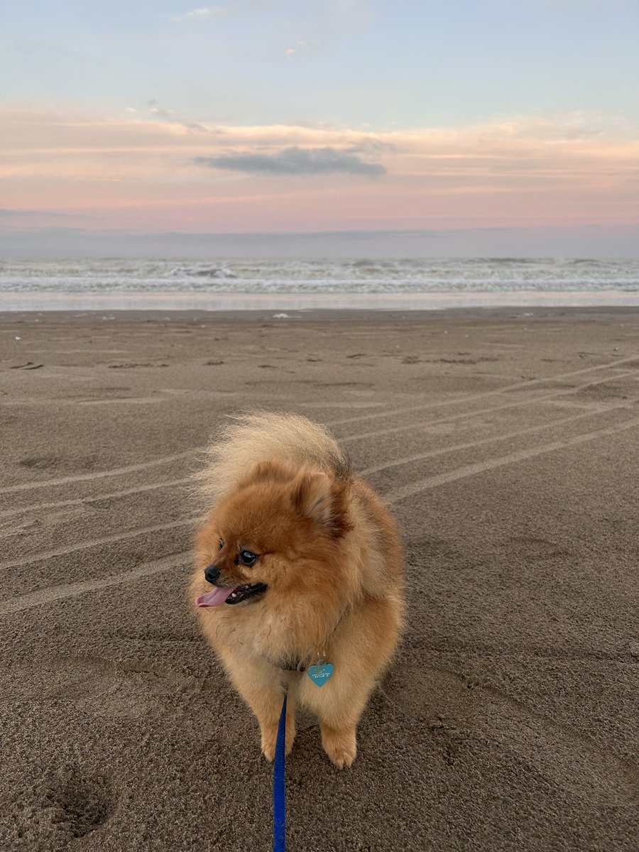 Él es feliz en la playa 🌊💞