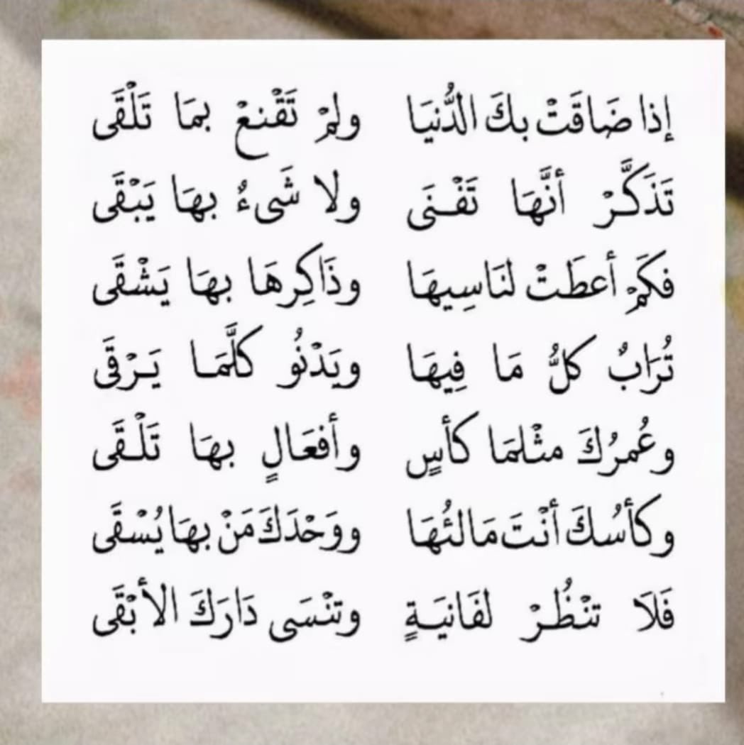 AmrAlmadhi's tweet image. ••

                                  #أعجبتني