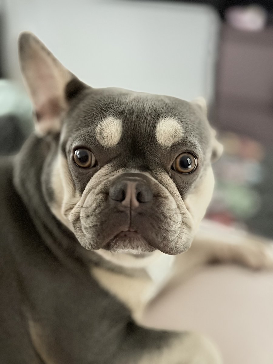 martin_ict_algo's tweet image. Shot on an Iphone 17 Pro :)