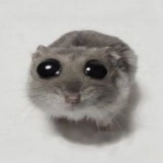 benylide's tweet photo. Bueno, se buscan mutis nuevas q no ignoren y q apoyen a los 7 por igual, rt devuelvo el follow, agregue me soy chida 𖤐 https://t.co/G6AW9XUOGb