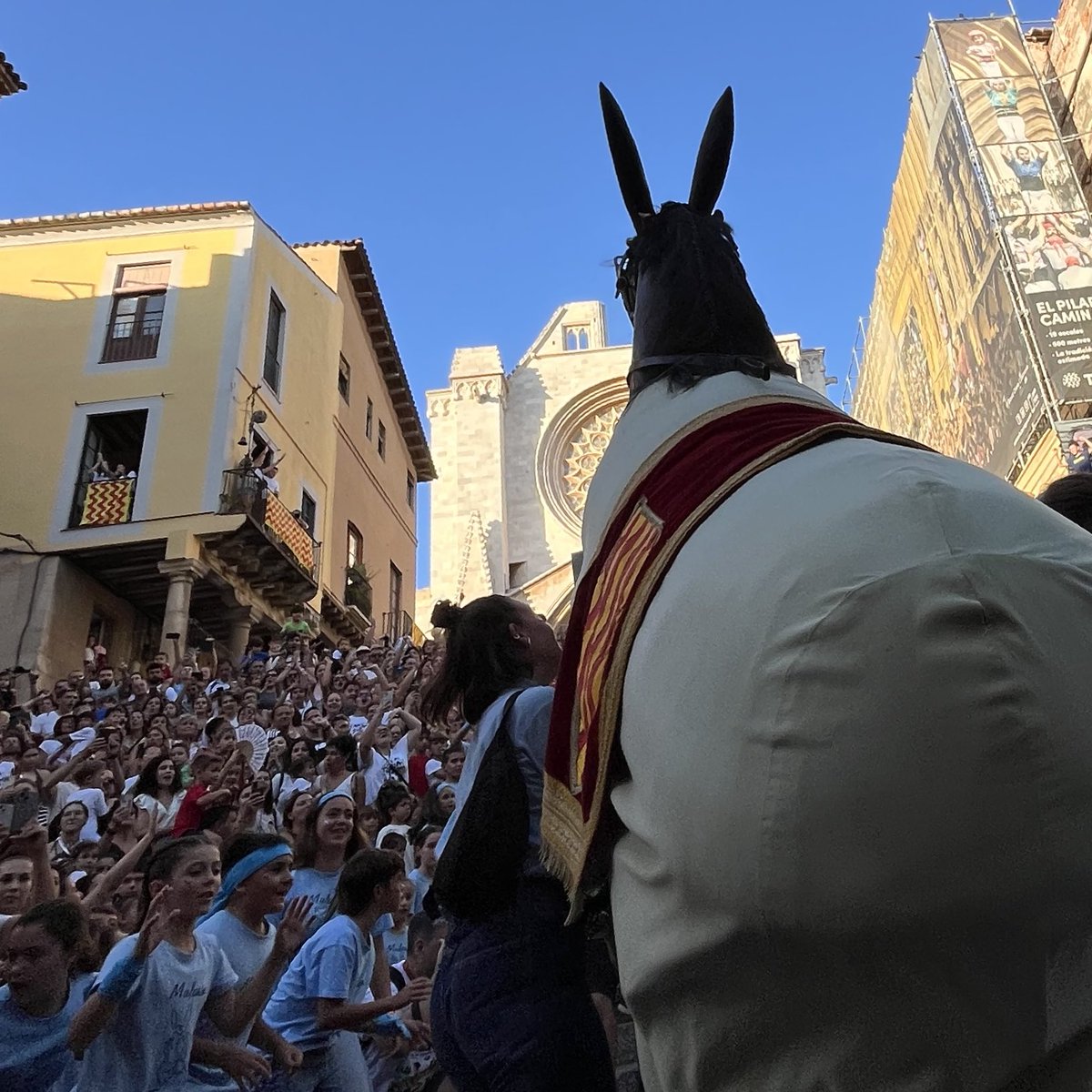 Associació Mulassa de Tarragona tweet media