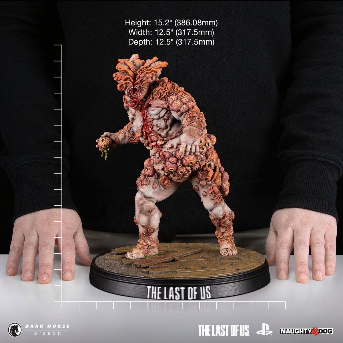 Dark Horse Direct tweet media