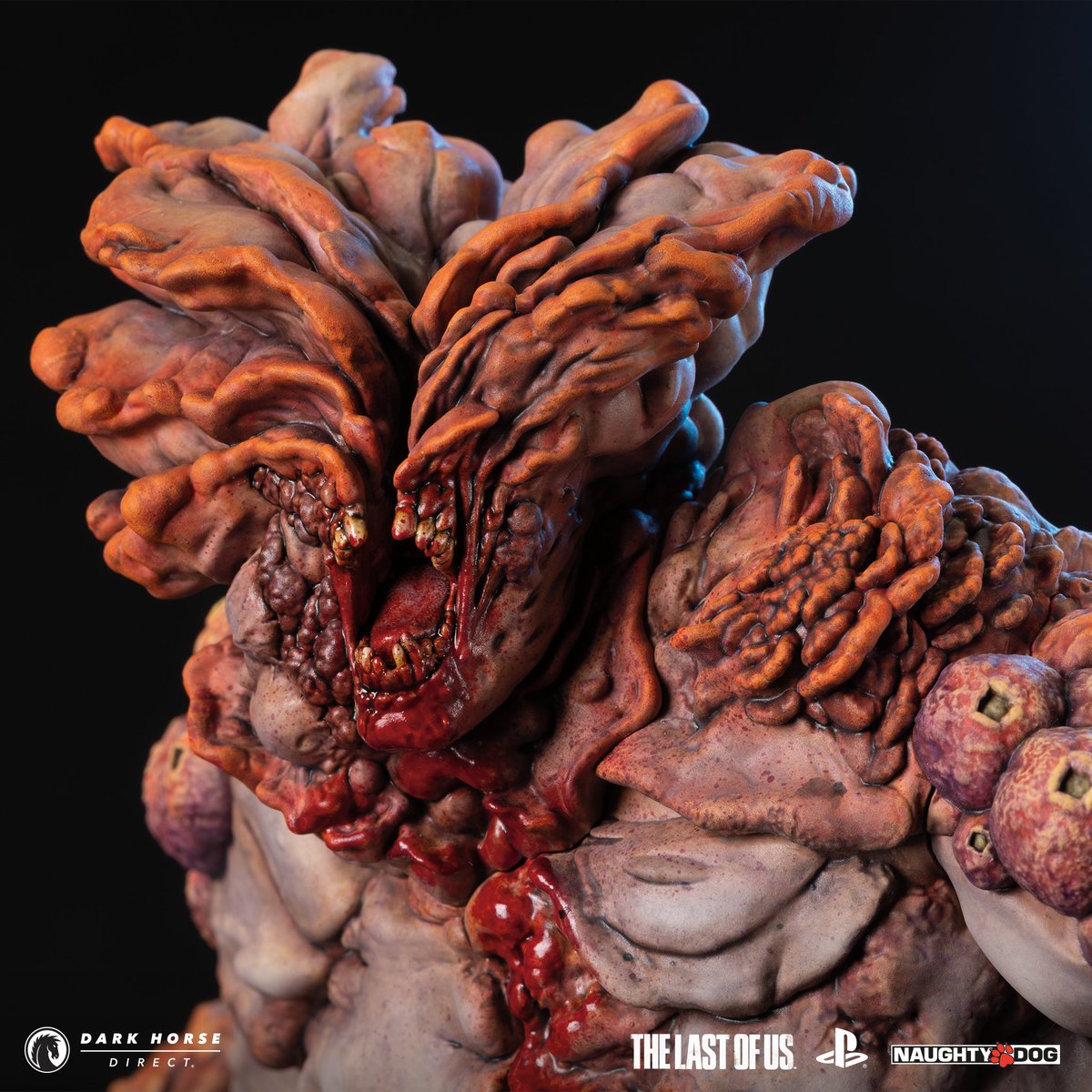 Dark Horse Direct tweet media