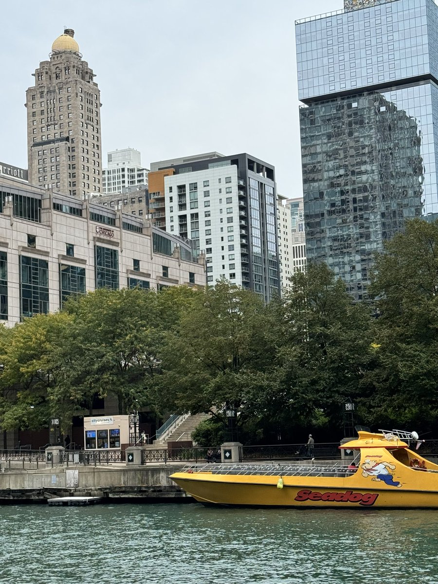 johnathanj22's tweet image. We got a C dog in Chi town! @wearewatcher #puppethistory @shanemadej