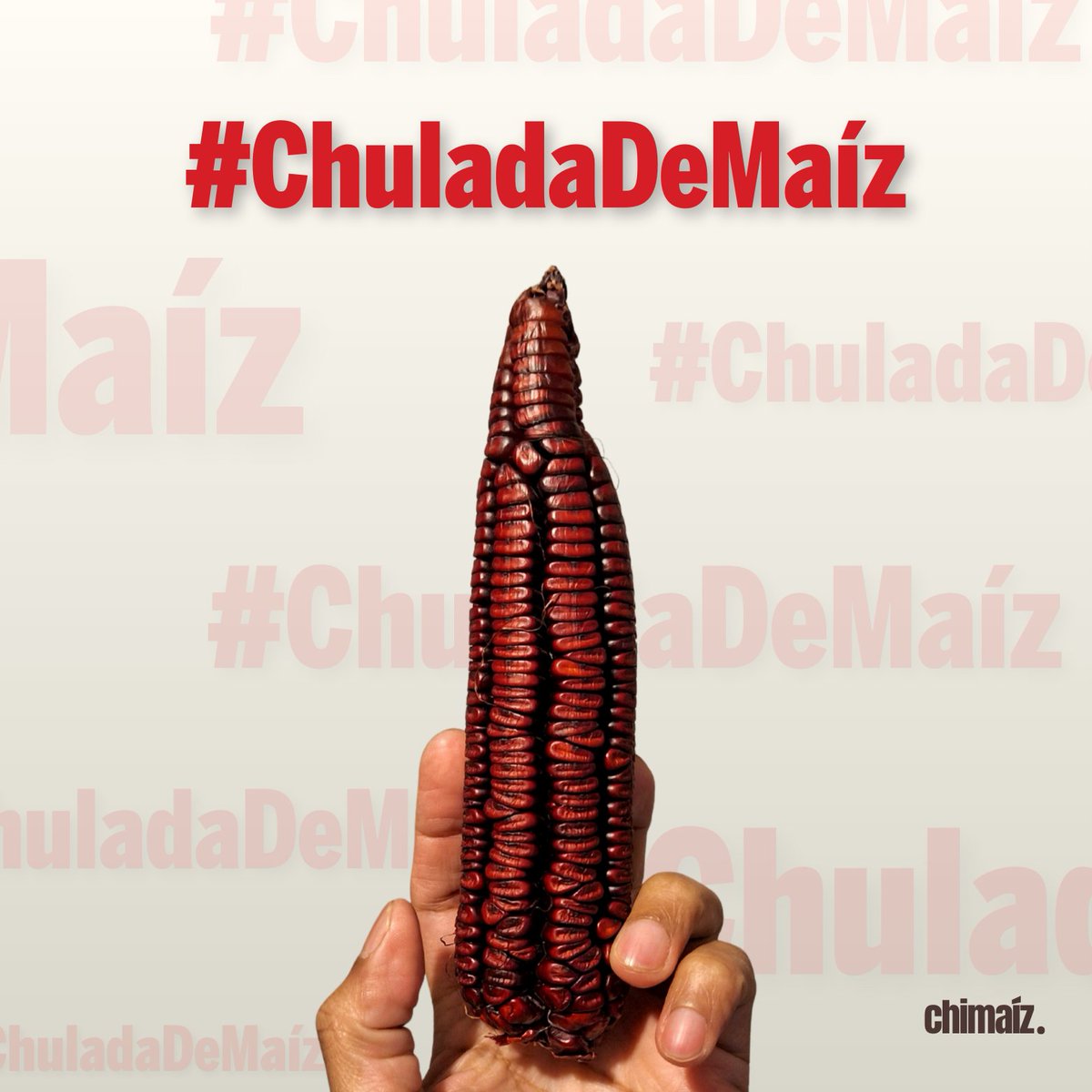 chimaizortiz's tweet image. ¡Ya viene el #DíaNacionalDelMaíz🌽!

Y para empezar a celebrar, aquí una selección de canciones en @SpotifyMexico inspiradas y dedicadas al teocintle, a los maíces nativos, a los hombres y mujeres de maíz en América.

#SomosDeMaíz🌽

👇🏽👇🏽👇🏽
open.spotify.com/playlist/1UdTa…