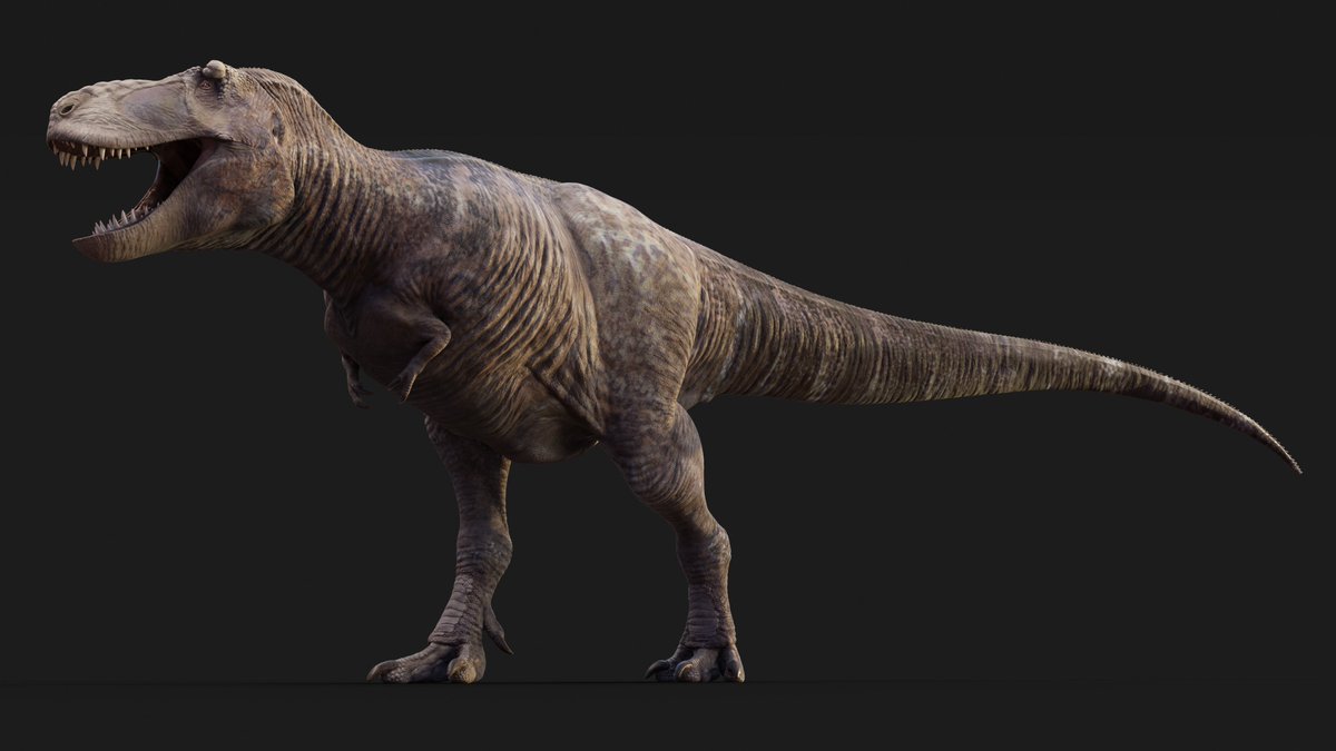 Sketchy_raptor's tweet image. Assorted 3D dinosaur (and dinosaur adjacent 😉) things by yours truly. And many more are currently in development!
