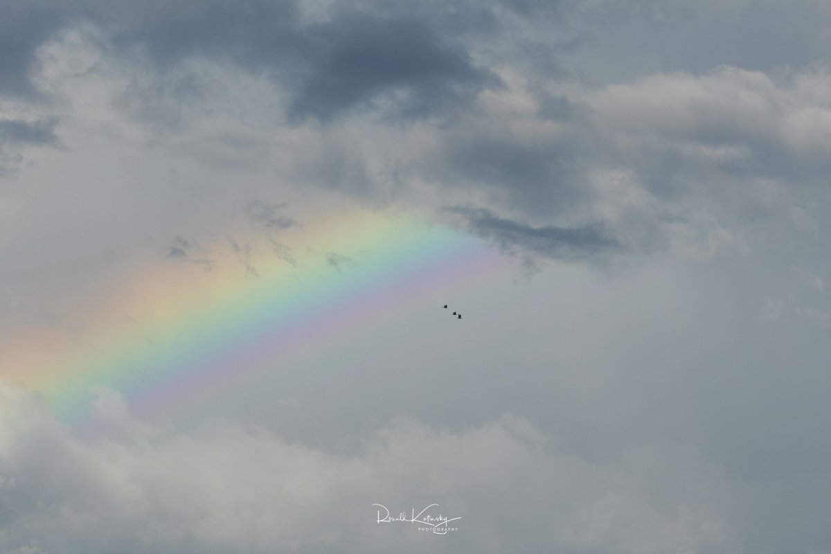 rkotinsky's tweet image. Birds and Rainbows - Only in Florida 
Plant City - Sept. 2025 
-
#rkotinsky #rainbows #birds #florida #onlyinflorida 

@PaulFox13
@MattDevittWX @stormhour
@spann @skilling @julianamwx @nashwx
@CanonUSA @CanonUSApro @CanonUSAimaging