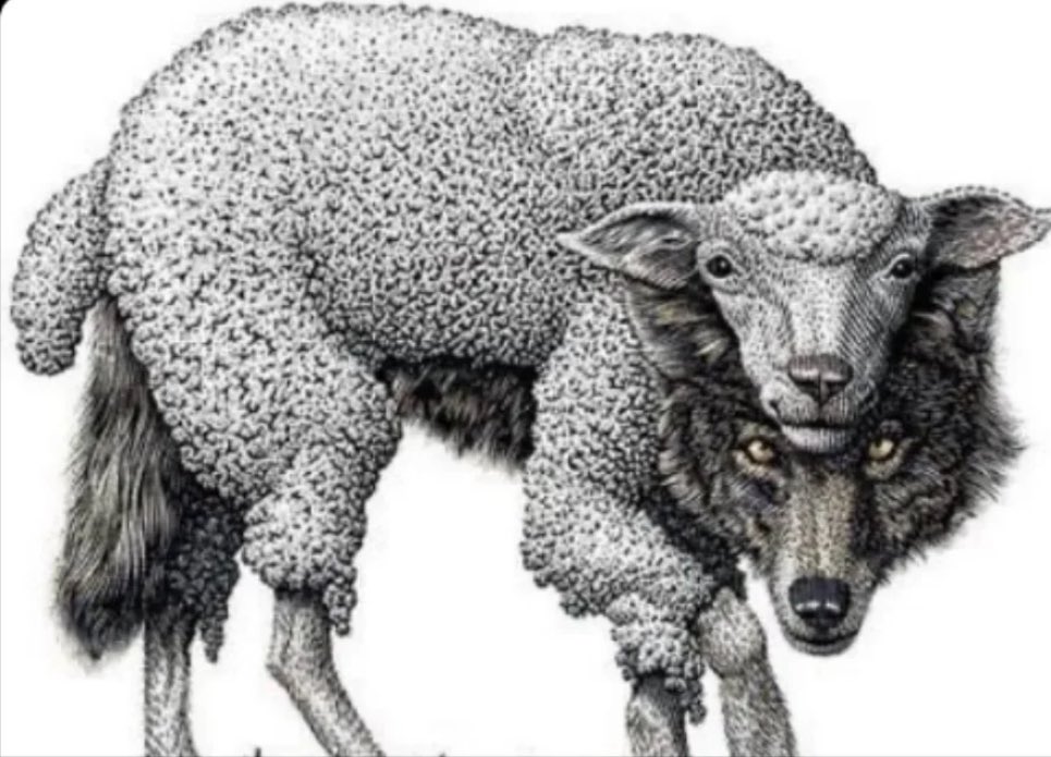 “eu nem gosto tanto assim de futebol, pode ficar tranquilo/a”