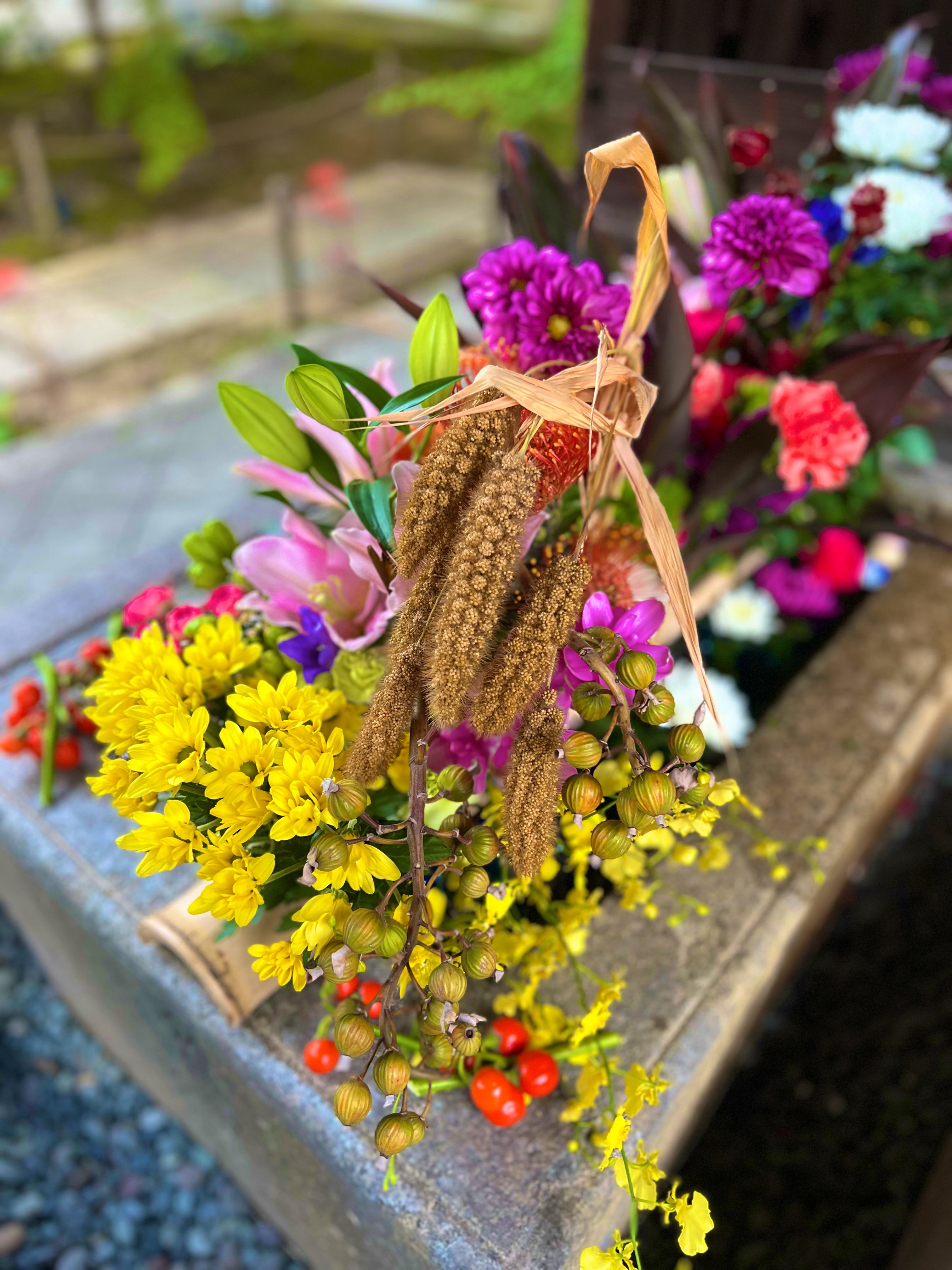 ⚠️庭の花様ご連絡ページ⚠️ 開花情報 | 横須賀しょうぶ園ホームページ