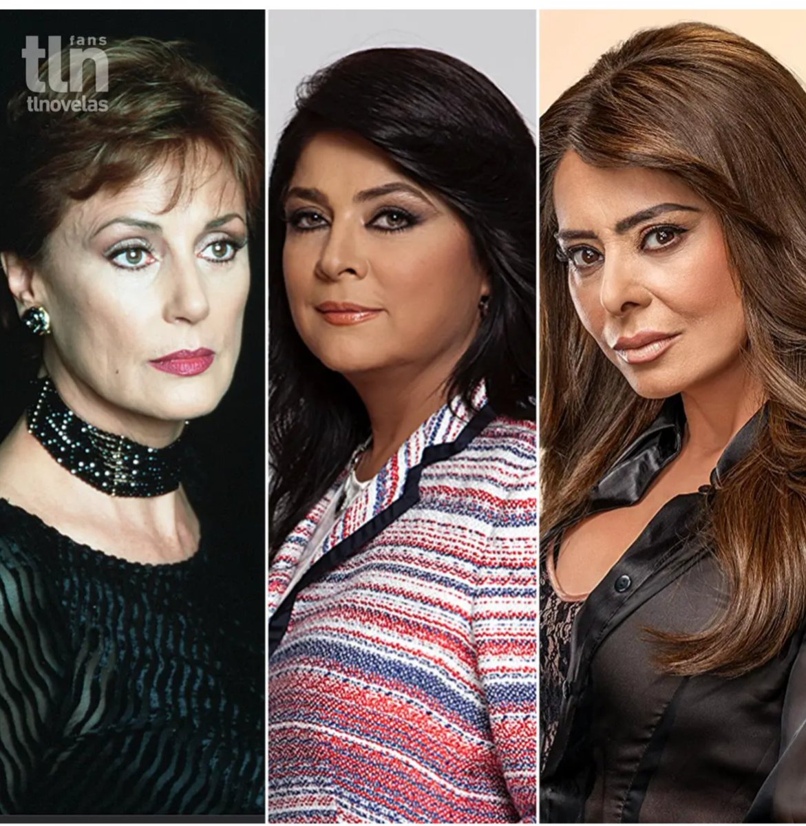 OrneHoyer's tweet image. Distintas versiones
Mismos personajes por distintas #Actrices cual te gusta más  ??
#LucianaLuval #elprivilegiodeamar
#VictoriaRufo #TriunfoDelAmor
#YadhiraCarrillo #LosHilosDelPasado
Comenta cual es la tuya

#TlnovelasFans 📰