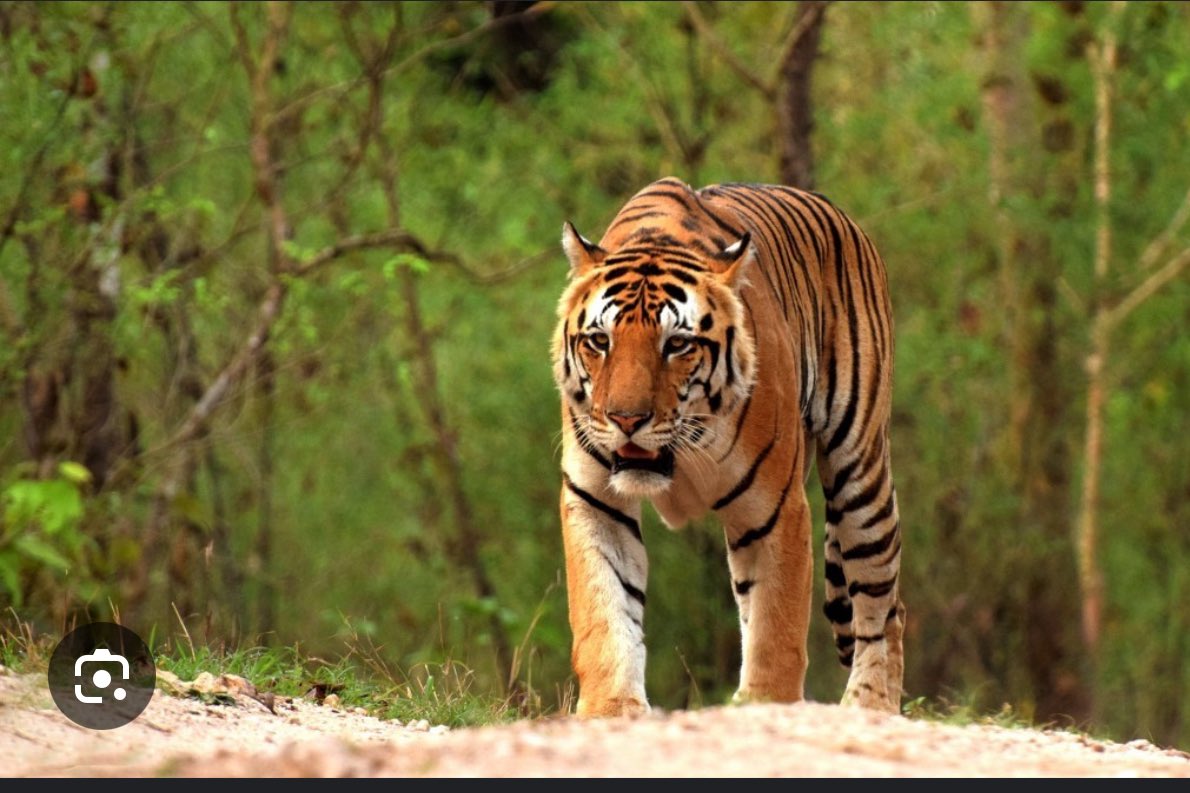 @INDERKUMFB tweet media