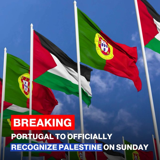 Multiple flags of Portugal and Palestine waving on poles against a blue sky. The flags display the national emblems of Portugal and Palestine.